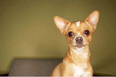 Xbox老大承认2022年Xbox表现不佳：都是我的错